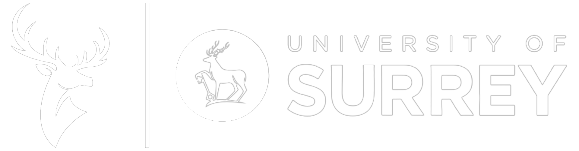 Surrey CompSoc logo